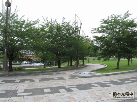 大島小松川公園 駐車場へ続く道