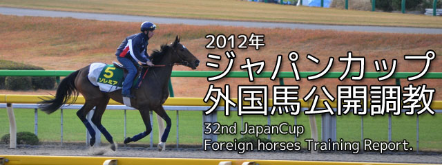 2012年 ジャパンカップ外国馬公開調教