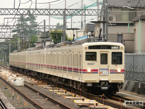 京王電鉄「Tama Zoo Train 50周年記念号」運転（2008年5月）