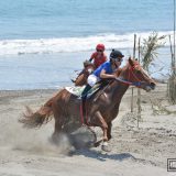 砂浜を走る馬が見たい！静岡県「さがら草競馬大会」へ行く（前編）