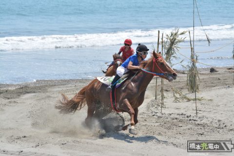 砂浜を走る馬が見たい！静岡県「さがら草競馬大会」へ行く（前編）