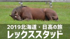 20191114hokkaidohidaka03