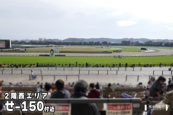 東京競馬場スマートシート せ-150付近