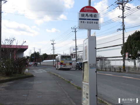 【写真】競馬場前バス停（目達原・神埼駅方面）。鳥栖駅からは15～20分。