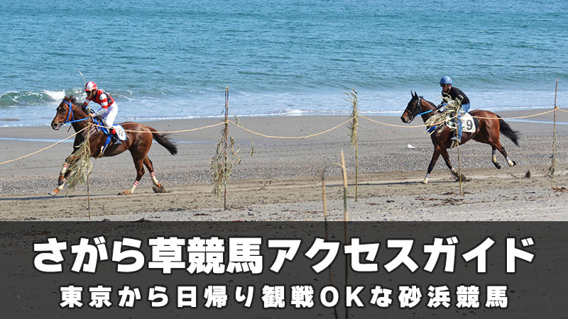 さがら草競馬アクセスガイド