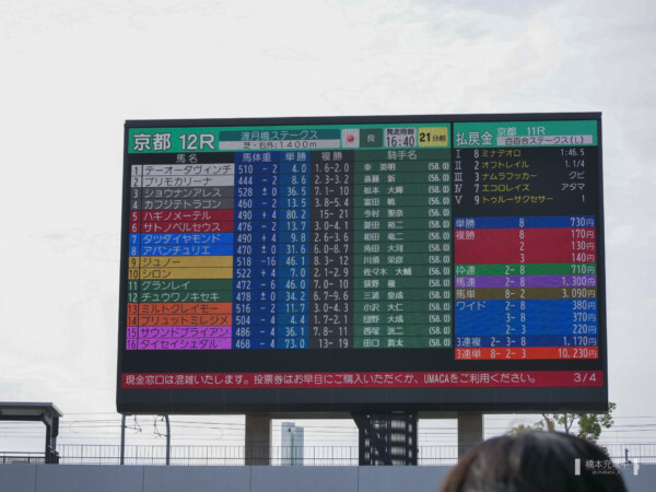 京都12R 渡月橋ステークス 出馬表