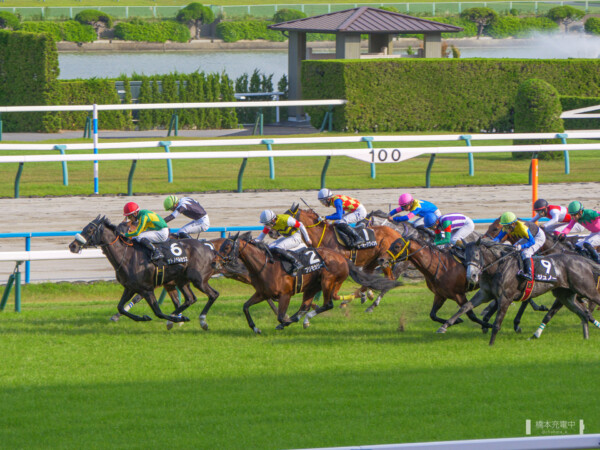 京都12R渡月橋ステークス