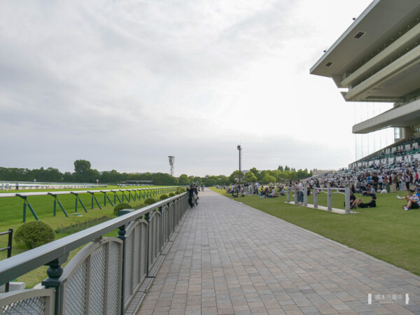 京都競馬場