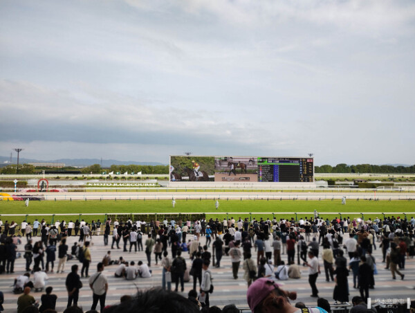 東京11R発走前の京都競馬場スタンドとターフビジョン